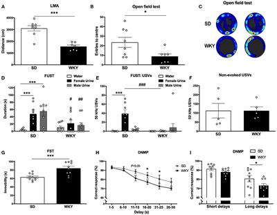 The Antidepressant-Like Effects of a Clinically Relevant Dose of Ketamine Are Accompanied by Biphasic Alterations in Working Memory in the Wistar Kyoto Rat Model of Depression